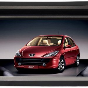 Central Multimídia Peugeot 307